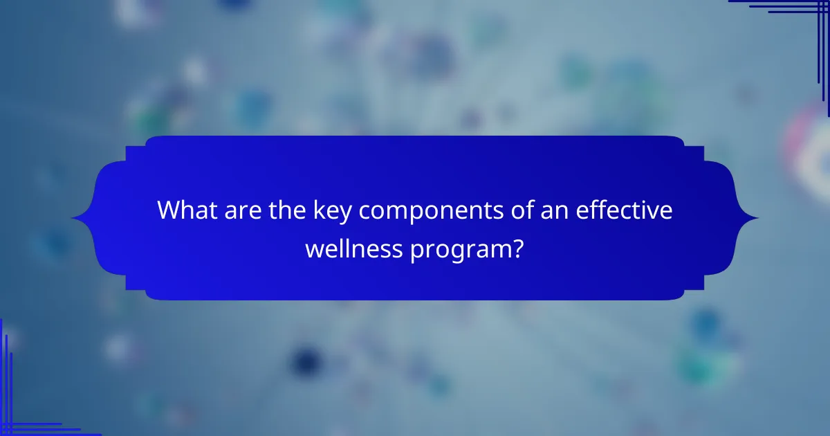 What are the key components of an effective wellness program?